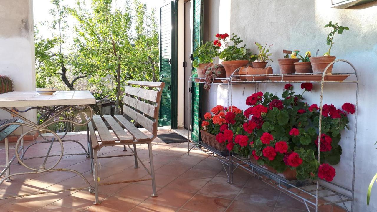 Apartmán Casa Di Giulia Santa Luce Exteriér fotografie