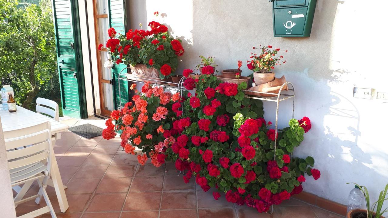 Apartmán Casa Di Giulia Santa Luce Exteriér fotografie